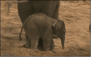 Happy Birthday Take This Funny Gif As A Present 66062022 Added