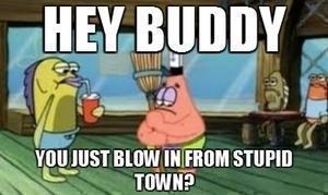 Hey Buddy You Just Blow In From Stupid Town Added By Zealexmeister At Admit It You Thought They Grew On Trees