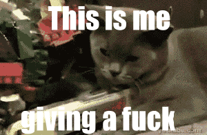 Cat Gif Fuck This 5 Cat Gif Fuck This 5