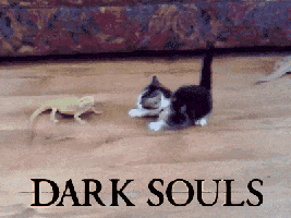 dark souls mouse fix