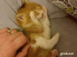Holy I Need This Laugh Thank You Sure 112072676 Added By