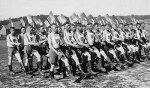 Intelligence is not enough essay